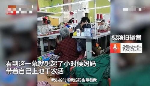 面包工厂爆料怎么做视频,视频带你探秘面包制作全过程