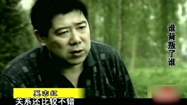 夫妻互相爆料视频,婚姻背后的真实故事